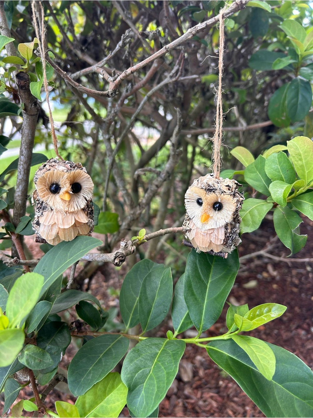 Handcrafted Natural Brown Owl Bird Ornament - Set of 2